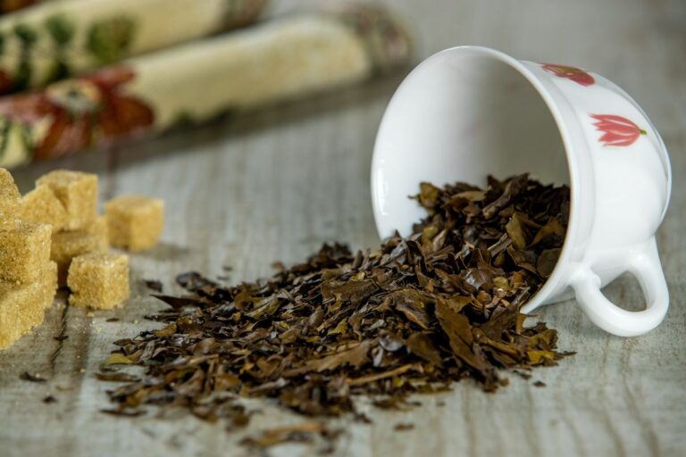 Melhora a gastrite e combate cólicas: as vantagens da espinheira-santa 4 espinheira-santa.