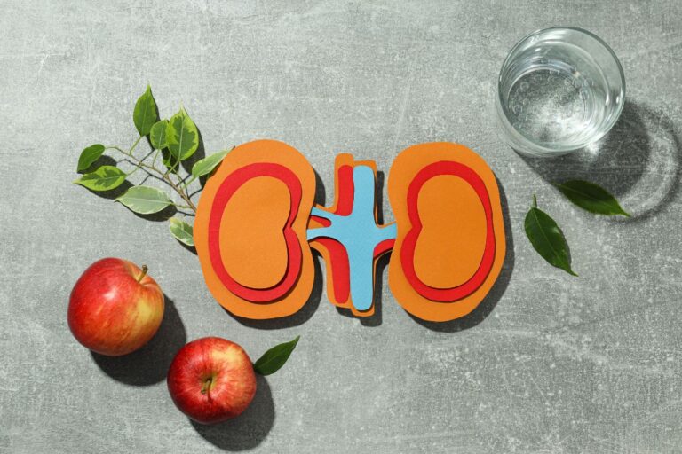 Água com gás faz mal para os rins? Conheça seus verdadeiros efeitos 7 água com gás faz mal para os rins.