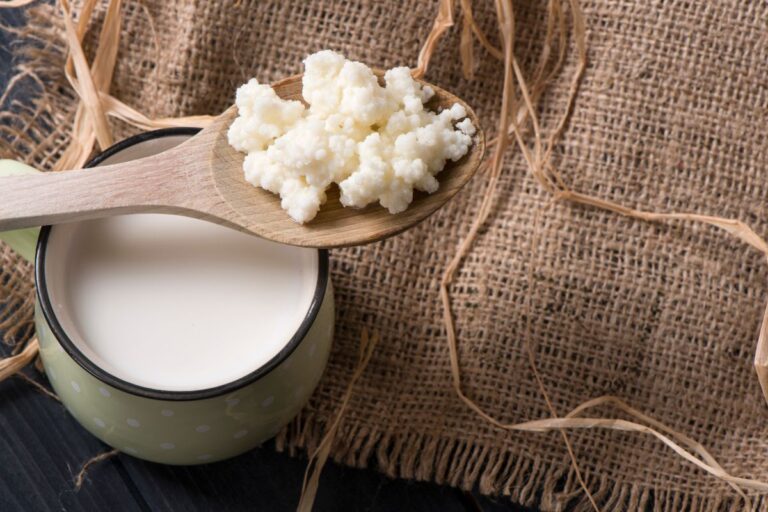 Kefir: o superalimento que revoluciona a saúde do corpo e da mente 6 Kefir.