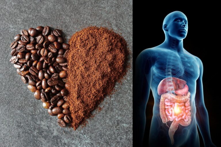 Estudo comprova os benefícios do café para a saúde intestinal 7 Benefícios do café para saúde intestinal.