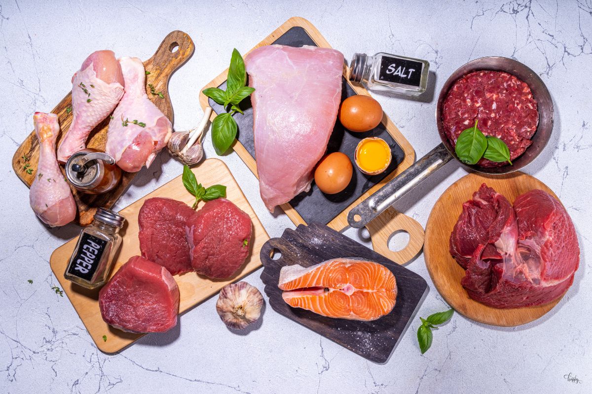 Dieta Carnívora: Como é, benefícios, malefícios e guia completo 1 dieta carnívora.