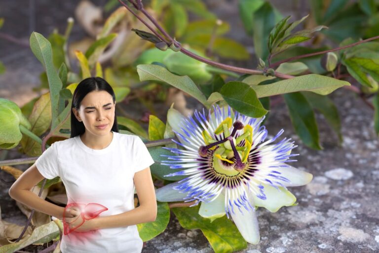 Passiflora faz mal para o fígado? Descubra a verdade sobre os efeitos dessa planta no organismo 4 passiflora faz mal para o fígado.