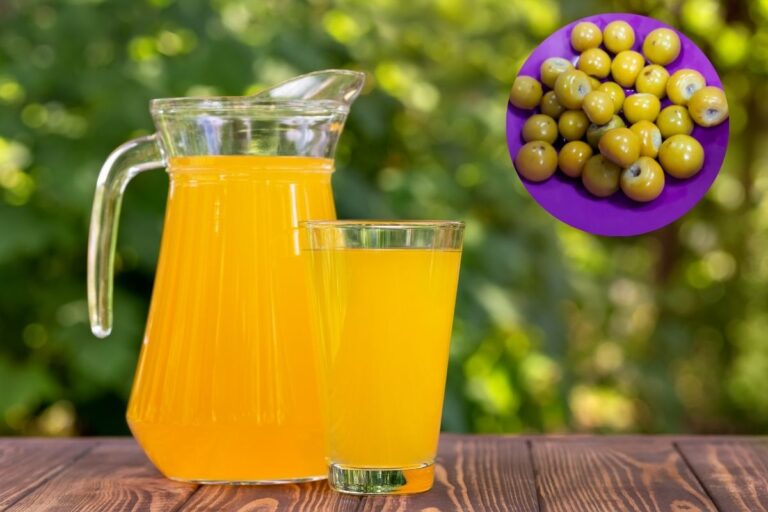 Suco de murici: experimente todo o poder dessa fruta exótica 1 Suco de murici.