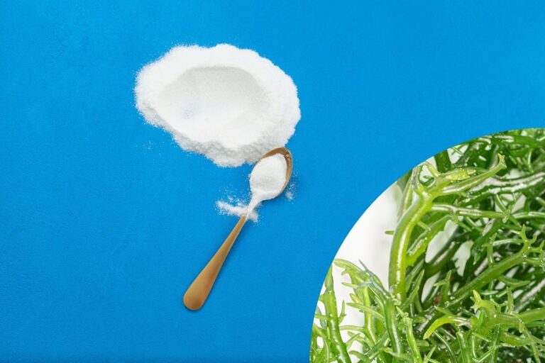 Carragena faz mal? Entenda tudo sobre esse ingrediente polêmico 1 carragena faz mal.