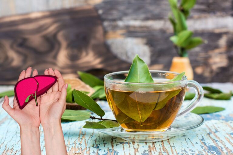 Chá de louro faz mal para o fígado? Descubra a verdade! 5 chá de louro faz mal para o fígado.