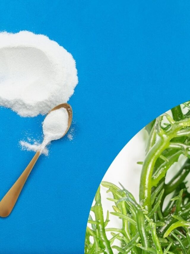 Carragena: O que a indústria não te conta!