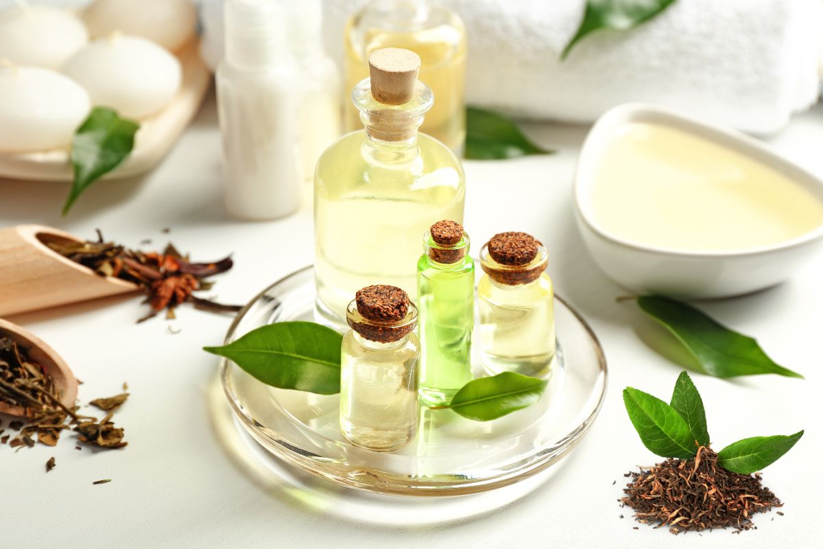 Óleo de Melaleuca: entenda por que ele é tão poderoso para sua saúde e bem-estar 1 óleo de melaleuca.