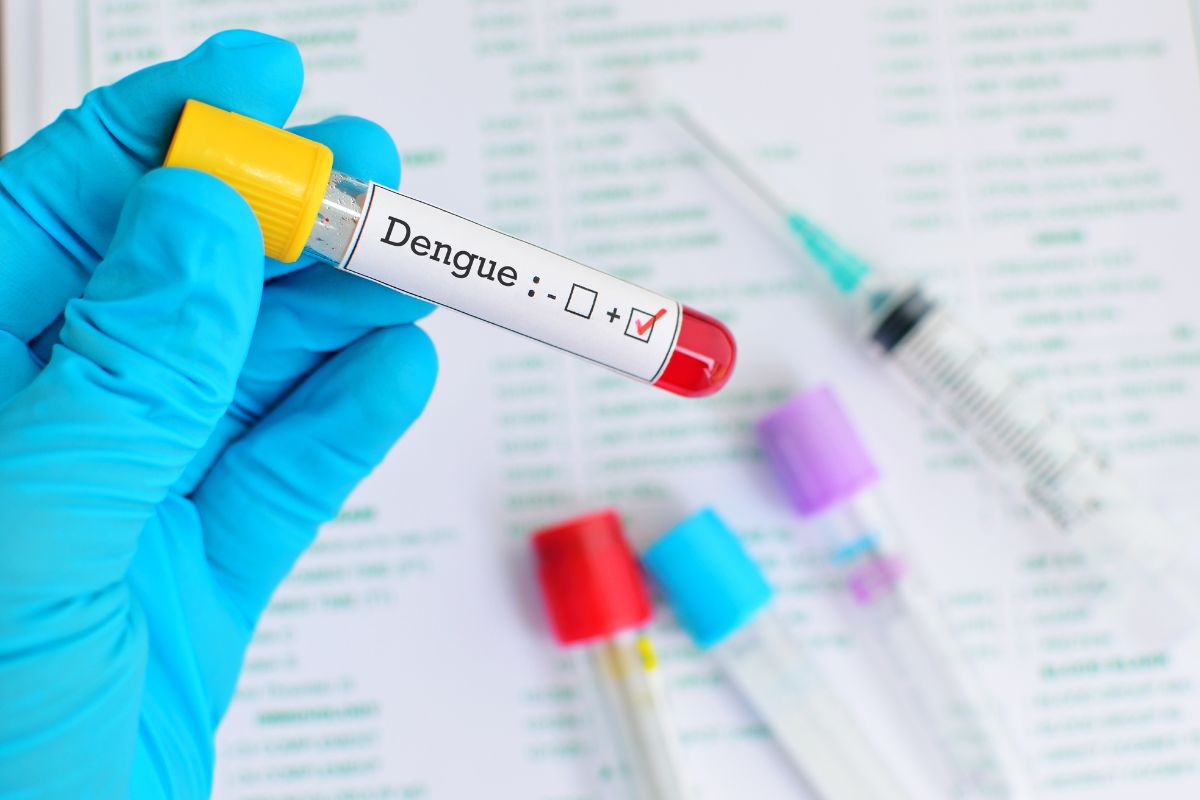 Como saber se estou com dengue? Janeiro teve 38 mortes confirmadas e 201 óbitos sob investigação 1 como saber se estou com dengue.
