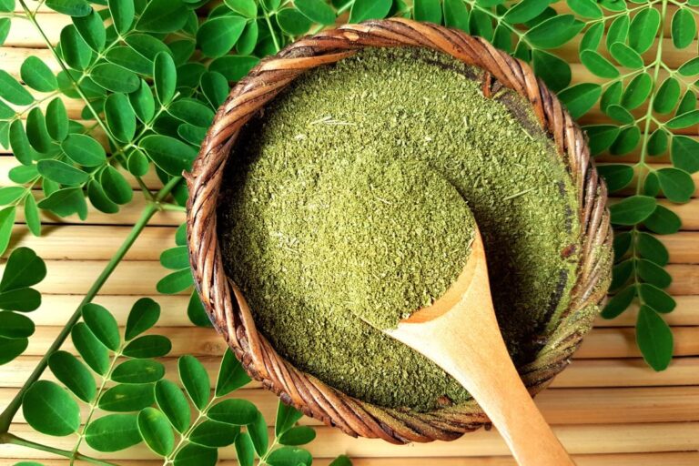 Descubra os 5 benefícios comprovados da Moringa e como ela pode transformar seu corpo 1 moringa.