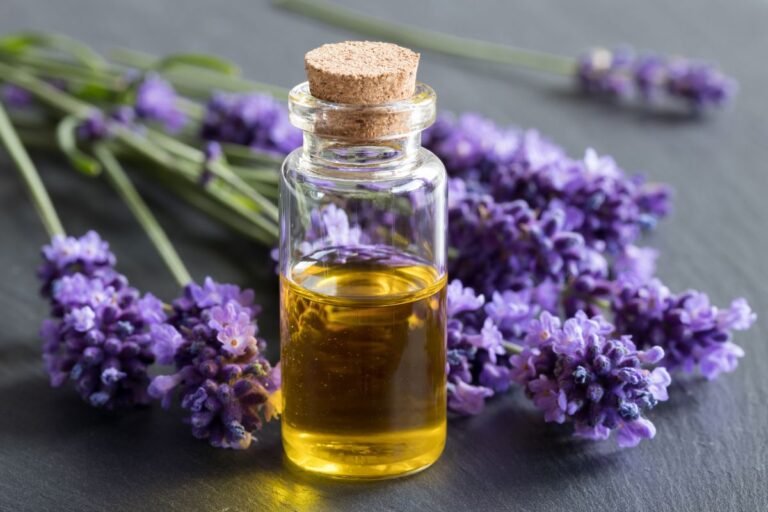 Óleo essencial de lavanda.