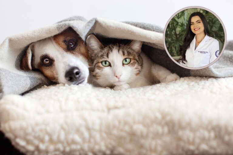 Quais os sintomas de asma? Pneumologista responde como a presença de gatos e cachorros pode influenciar 7 Quais os sintomas de asma?