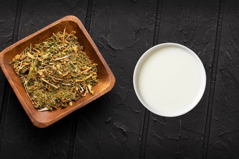 Para que serve o mastruz com leite? Entenda seus benefícios e saiba como usar 3 Mastruz com leite.