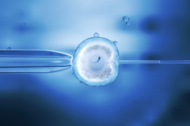 O que é fertilização in vitro? Entenda o caso da mulher que obteve o direito de usar o FGTS para o tratamento 1 Fertilização in vitro e FGTS.