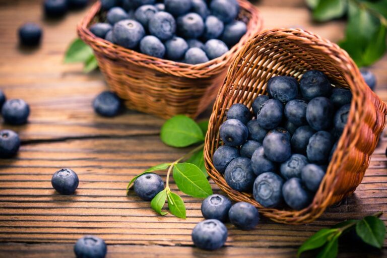 Mirtilo: uma fruta poderosa para a saúde? O que a ciência acaba de descobrir 1 benefícios do mirtilo