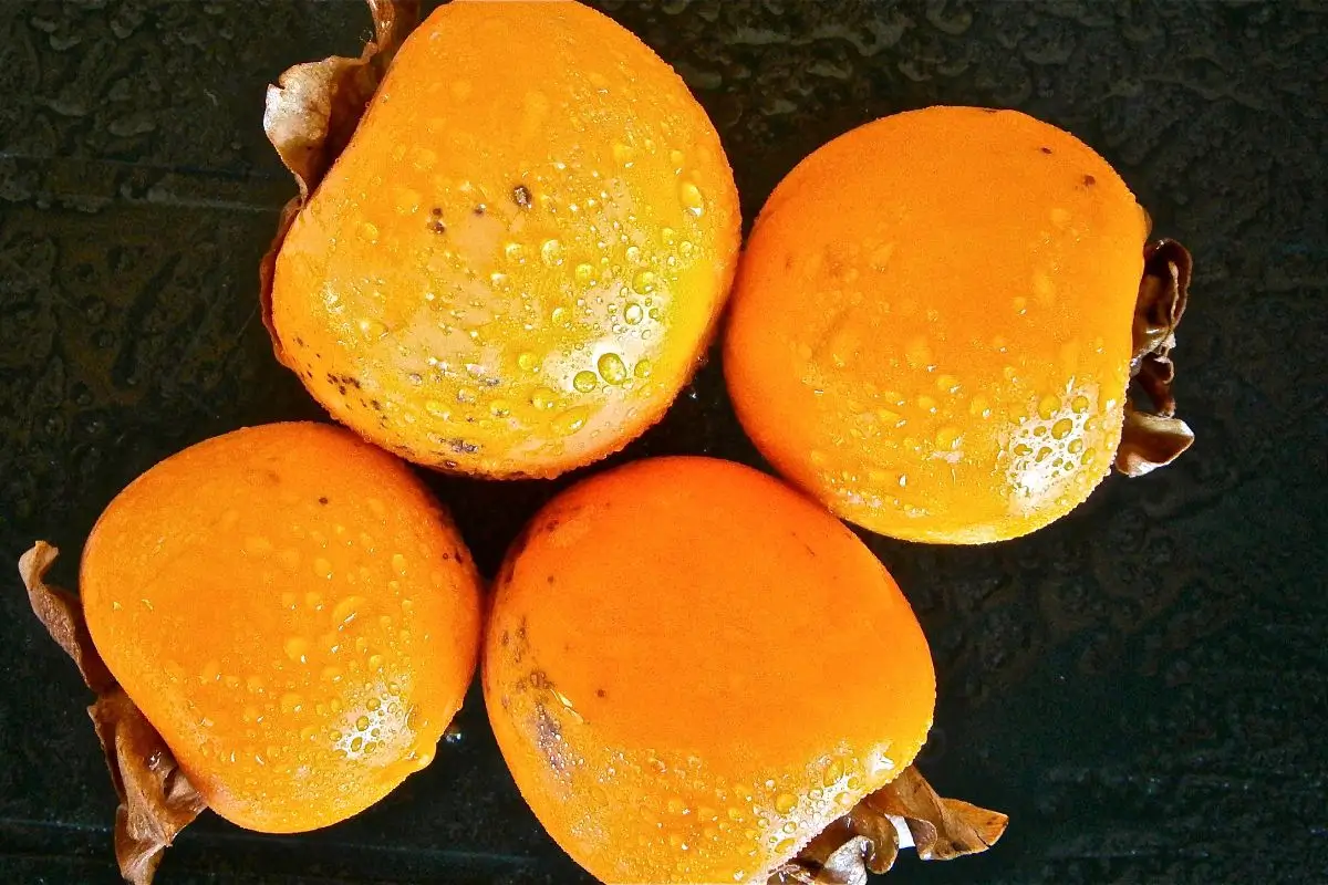 Caqui prende ou solta o intestino? Entenda o efeito deste fruto na digestão 1 Caqui prende ou solta o intestino.