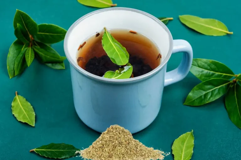 Chá de orégano com louro emagrece? Descubra os benefícios, verdades e como preparar 5 chá de orégano com louro emagrece.