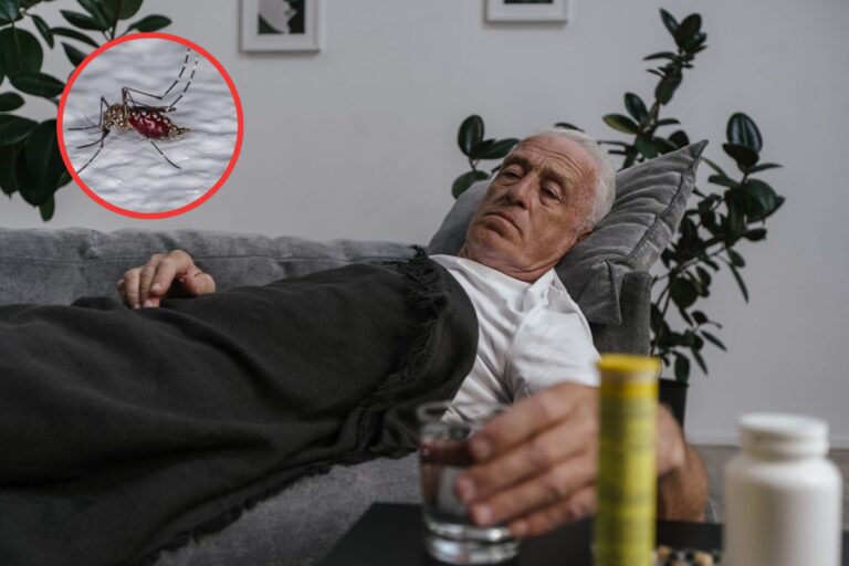 Febre amarela pode se tornar a próxima pandemia, alertam cientistas 3 Pandemia de febre amarela.