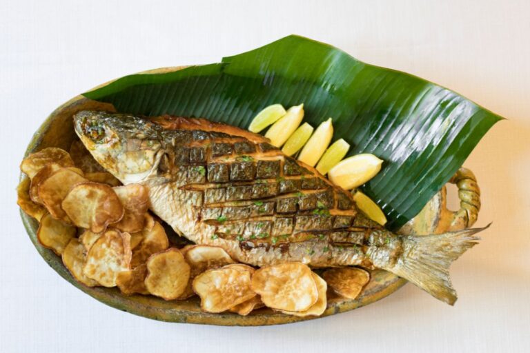 Peixe tainha é remoso.