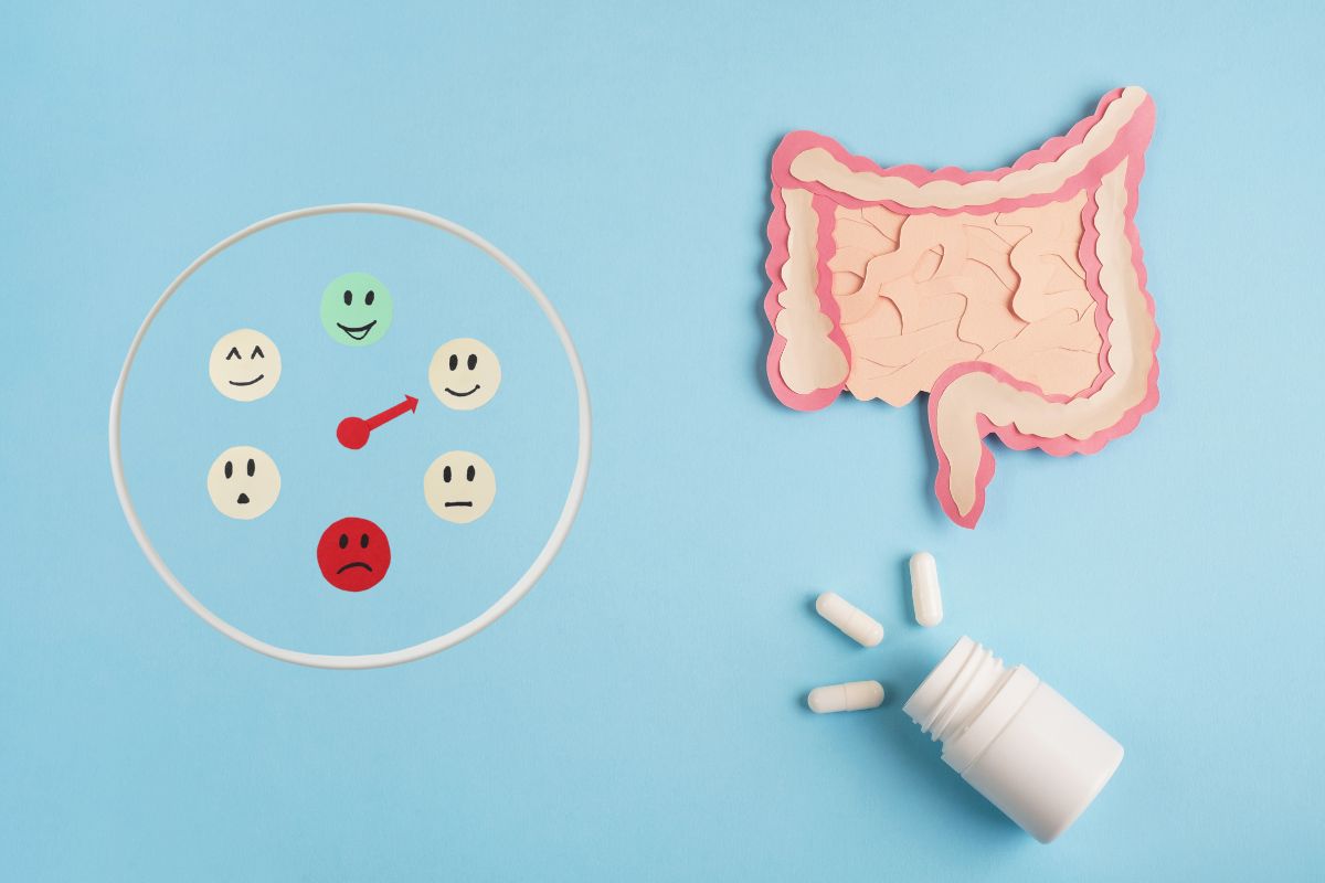 Probióticos e emoções: ciência aponta uma relação intrigante 1 próbióticos e emoções.