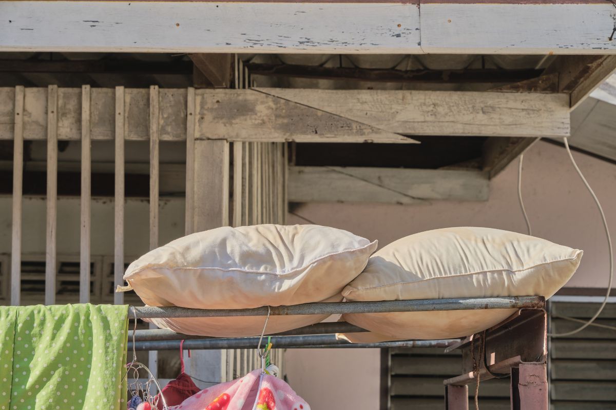 Ácaros morrem no sol? Descubra a verdade e como proteger sua casa das alergias 1 Ácaros morrem no sol.