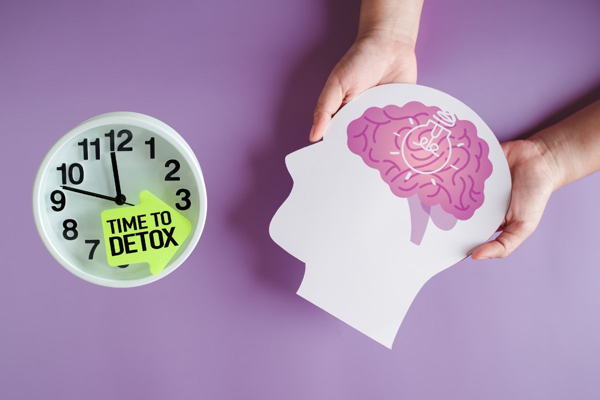 Detox de cortisol: como reduzir o hormônio do estresse de forma natural 1 Detox de cortisol.