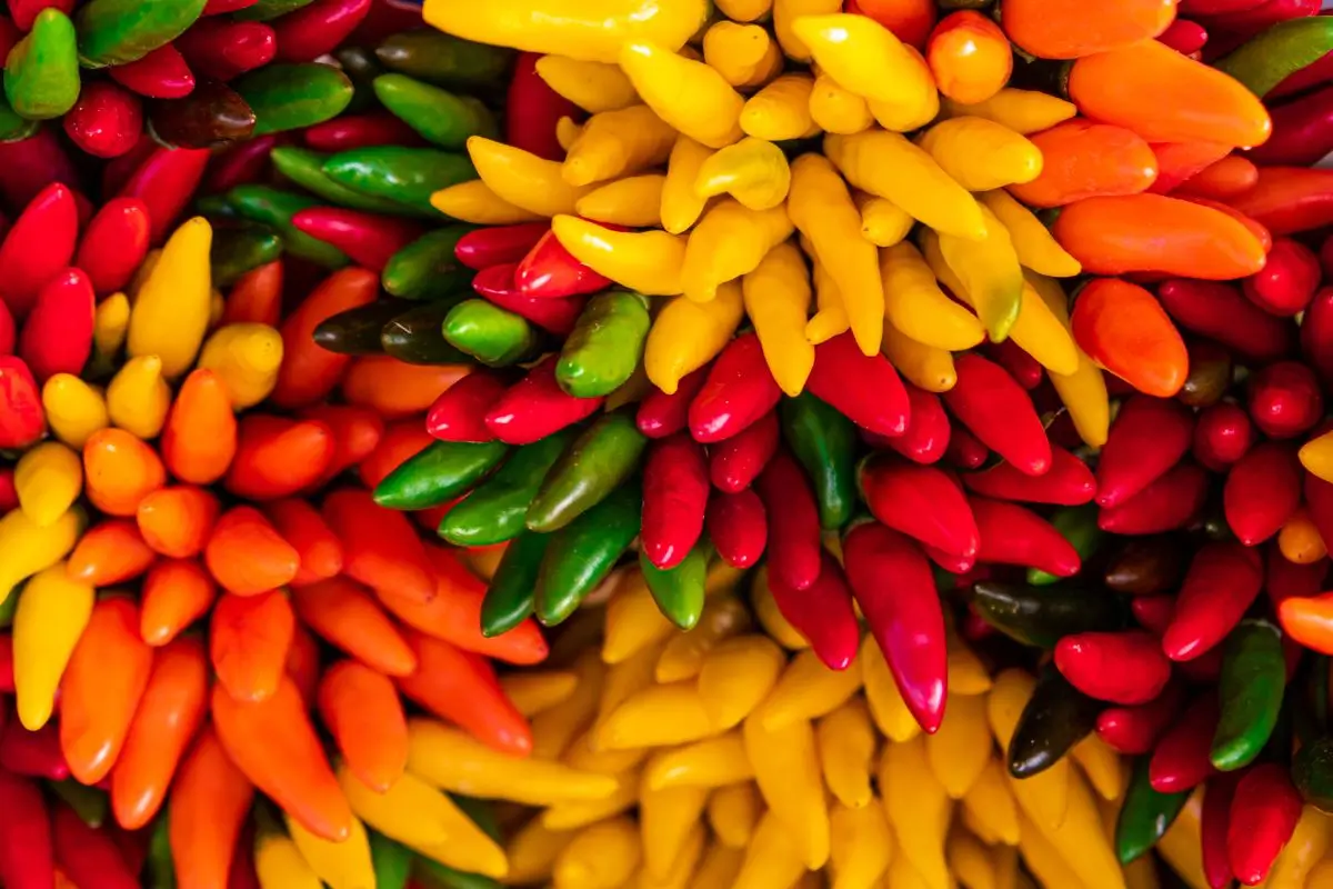 Pimenta faz mal para o fígado? Entenda seus efeitos reais na saúde hepática 1 Pimenta faz mal para o fígado em alguma situações.