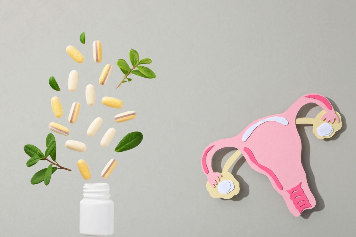 Suplementos naturais para menopausa: veja os melhores e mais indicados por especialistas 1 suplementos naturais para menopausa.