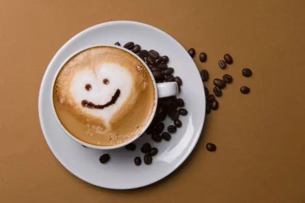 Cappuccino sem açúcar: ingredientes saudáveis em uma combinação perfeita 2 cappuccino sem açúcar.
