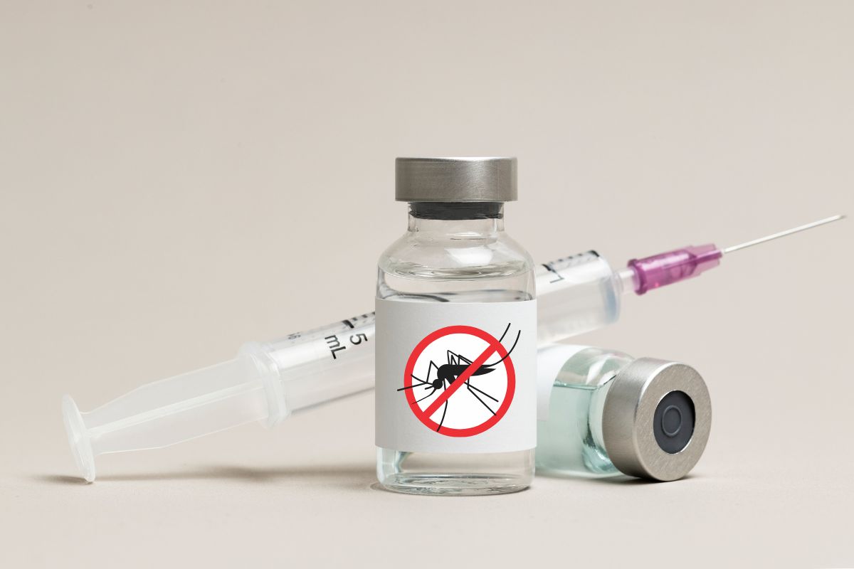 Governo projeta data para nova vacina da dengue; entenda o que vem por aí 1 Nova vacina da dengue.