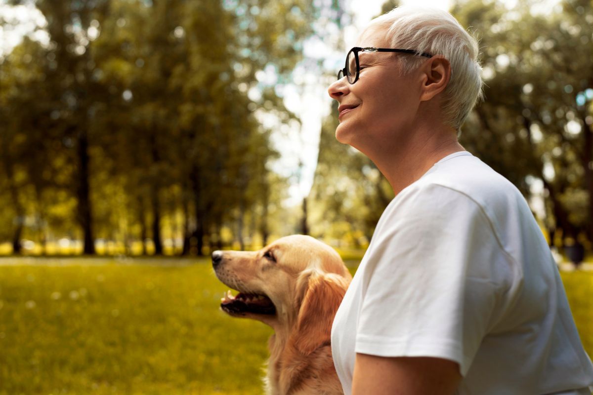 Cães detectam doença de Parkinson pelo cheiro da pele, aponta estudo 1 Cães detectam doença de Parkinson.