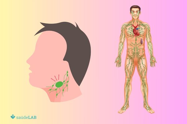 O que é íngua e quais são suas causas? Veja quando é normal e quando exige atenção médica 2 Sistema linfático.