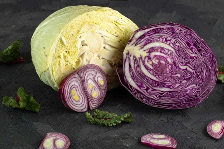 Você está guardando o repolho errado? Veja como conservar por até 2 semanas sem estragar 1 Como conservar repolho na geladeira.