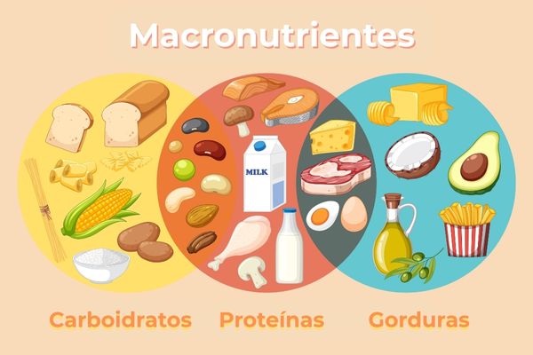 Dieta para ganhar massa muscular: o que você realmente precisa saber 2 Macronutrientes