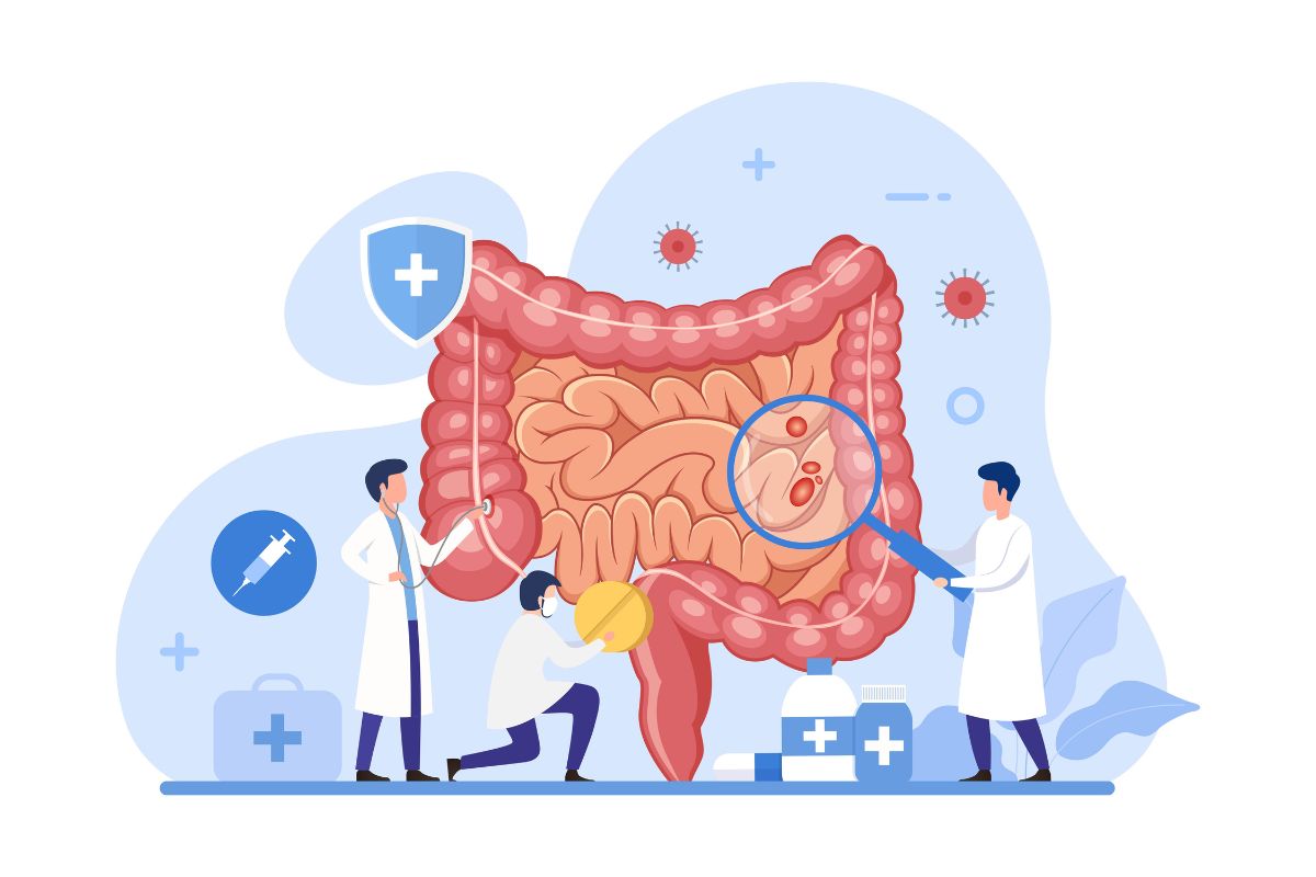 Alimentos FODMAP: o que são, lista completa e como seguir a dieta com segurança 1 Alimentos Fodmaps.
