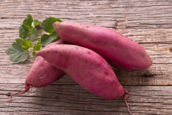 10 fatos nutricionais da batata-doce que você precisa conhecer 2 batata-doce.