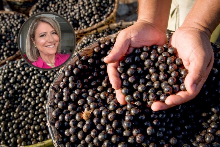 Café sem cafeína e cheio de benefícios? Conheça o de juçara 1 Café de juçara.
