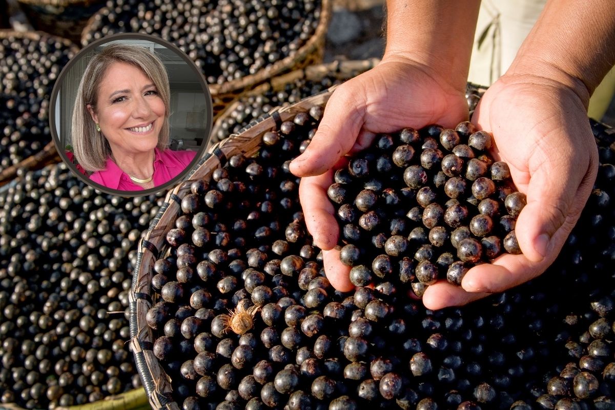Café sem cafeína e cheio de benefícios? Conheça o de juçara 1 Café de juçara.