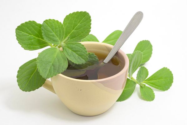 Chá de boldo pode ser perigoso para hipertensos? O que ninguém te conta sobre essa planta popular 2 Chá de boldo.