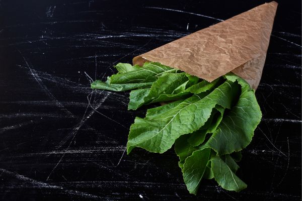Couve é remosa? O que você precisa entender para proteger sua saúde e cicatrização 2 Couve.