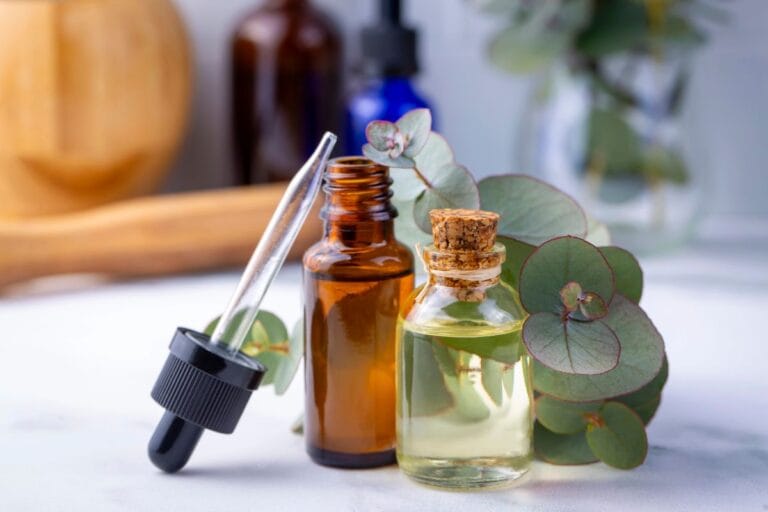 Óleo de eucalipto: descubra os benefícios, formas de uso e cuidados essenciais 3 óleo de eucalipto.