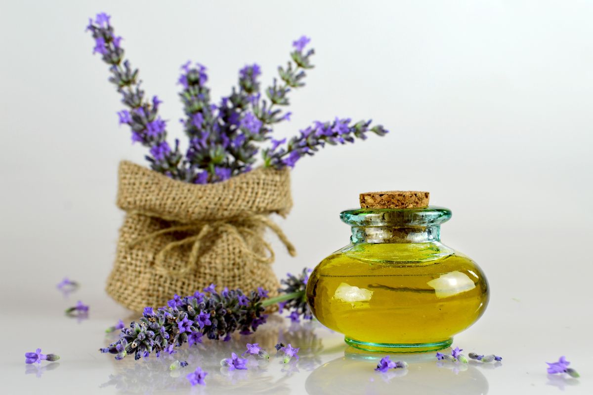 Óleo essencial de lavanda: o aroma que pode proteger seu cérebro e transformar suas noites de sono 1 óleo essencial de lavanda para dormir.