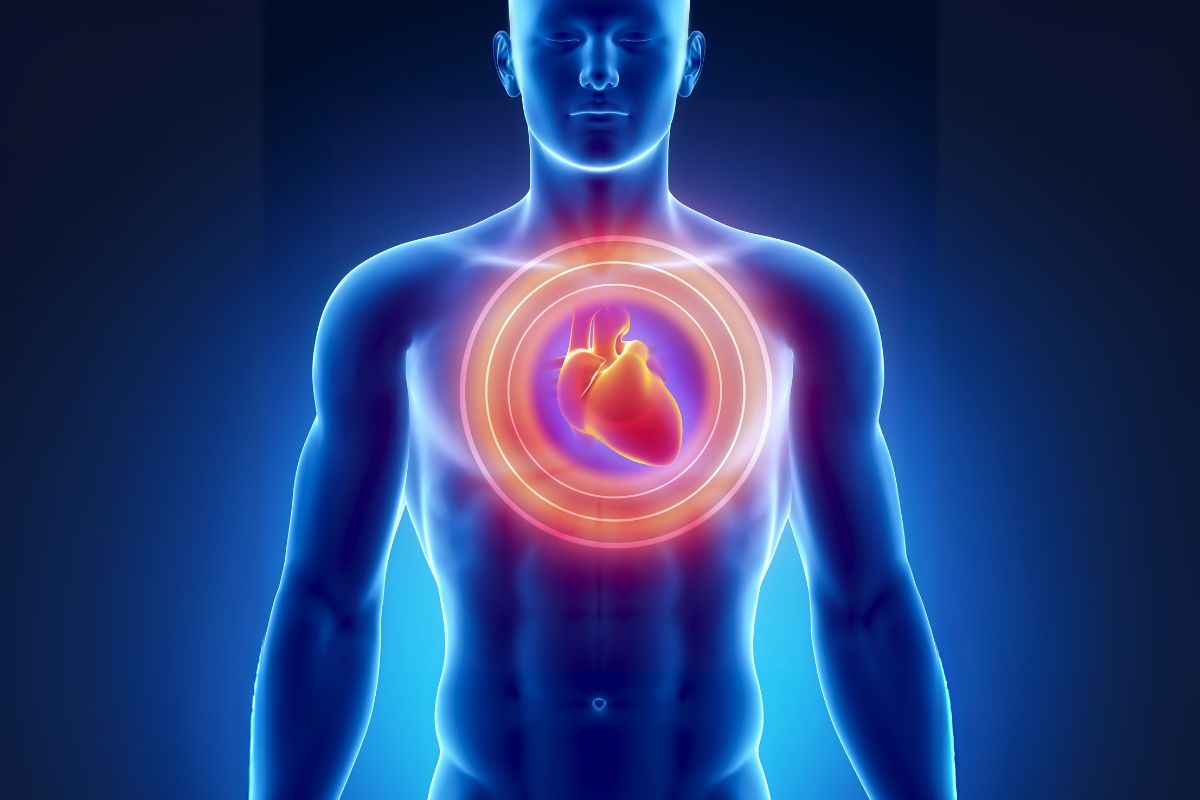 Quanto tempo antes do infarto aparecem os sintomas? Entenda os sinais e quando agir 1 quanto tempo antes do infarto aparecem os sintomas.