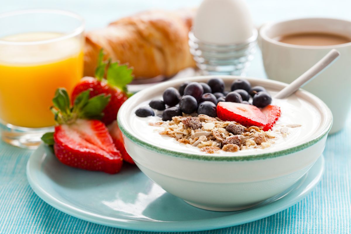 5 receitas com muitas fibras para começar o dia com energia e saúde 1 receitas ricas em fibra para o café da manhã
