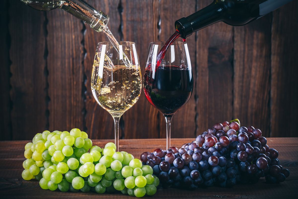 Vinho vence? Entenda se ele estraga, como identificar e quando não beber 1 vinho vence.