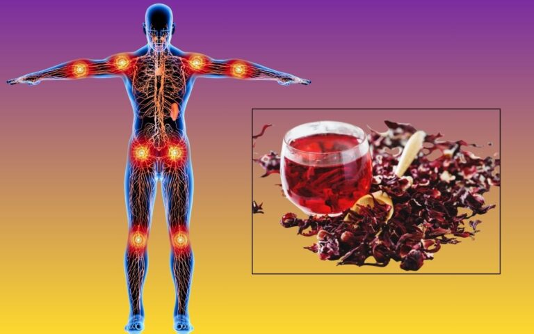 Chá de hibisco para inflamação: o que a ciência já descobriu 2 chá de hibisco para inflamação.