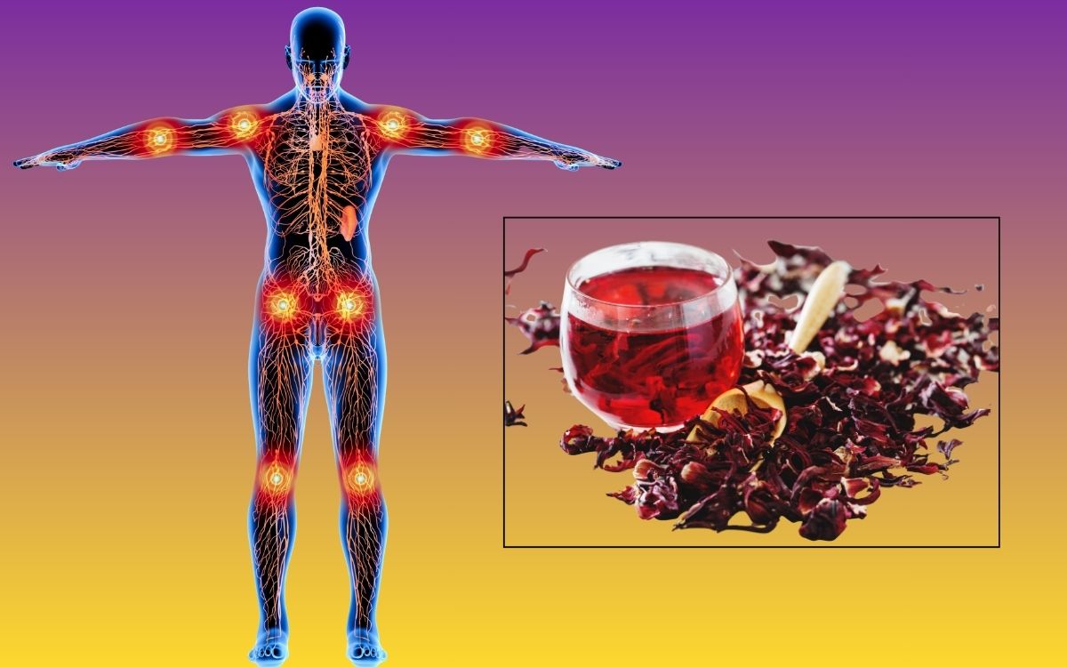 Chá de hibisco para inflamação: o que a ciência já descobriu 1 chá de hibisco para inflamação.