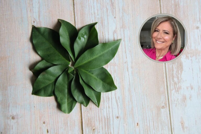 Plantas Alimentícias Não Convencionais.