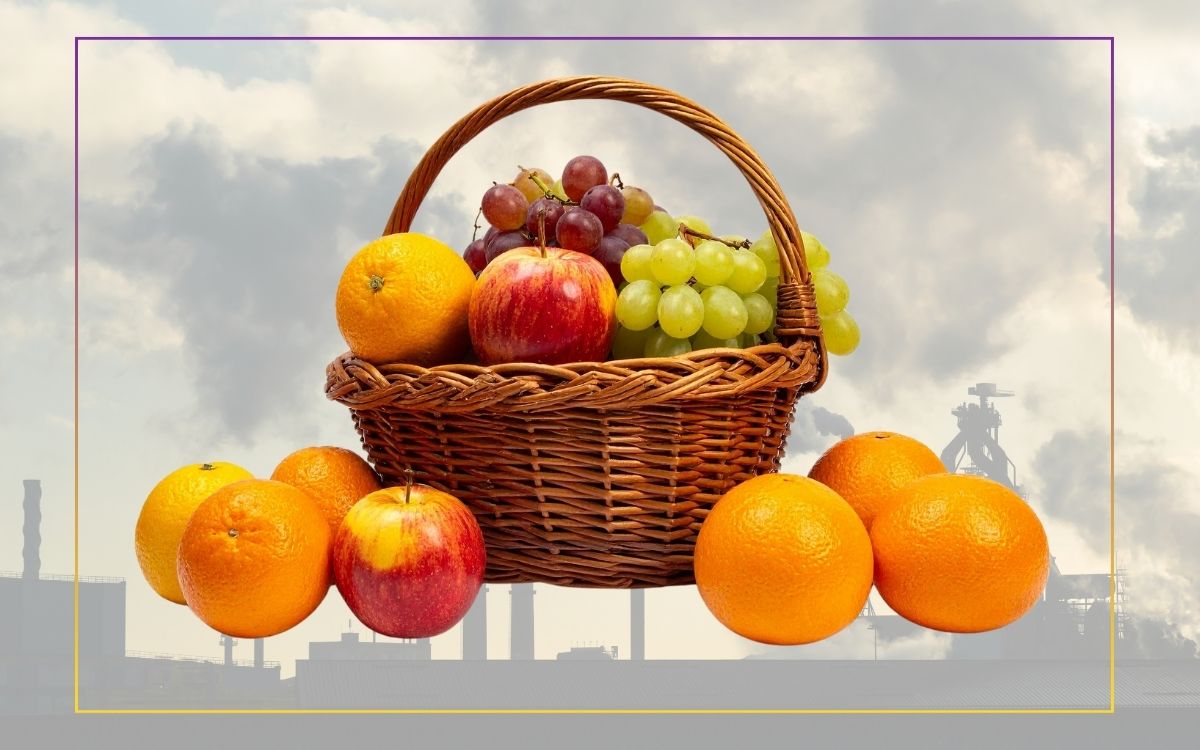 Comer frutas pode ajudar a proteger os pulmões da poluição? Estudo responde 1 frutas contra poluição do ar.