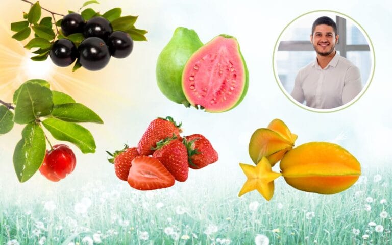 Nutricionista lista as 10 frutas da primavera no Brasil que você deveria aproveitar agora 2 frutas da primavera no Brasil.