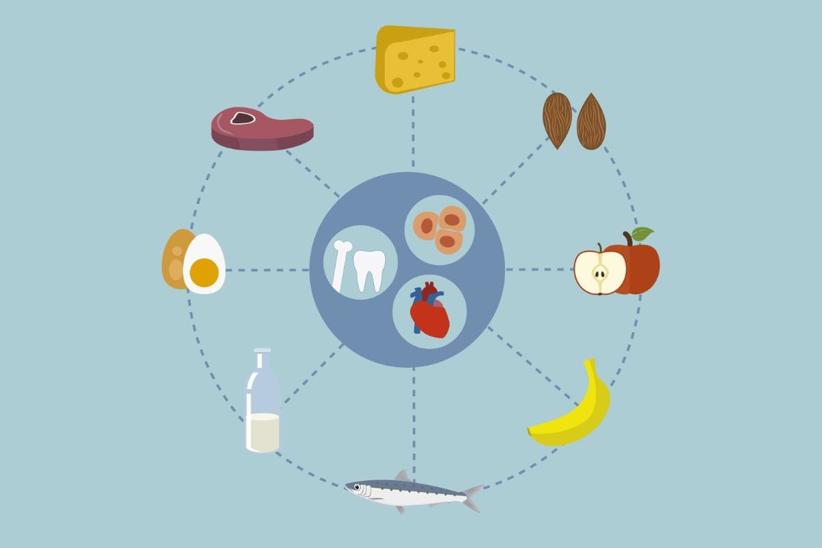 Minerais alimentares: por que eles são essenciais e onde encontrá-los na sua dieta 1 minerais alimentares.
